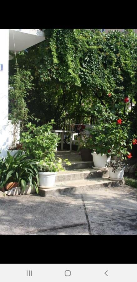Apartments Ant Budva Zewnętrze zdjęcie