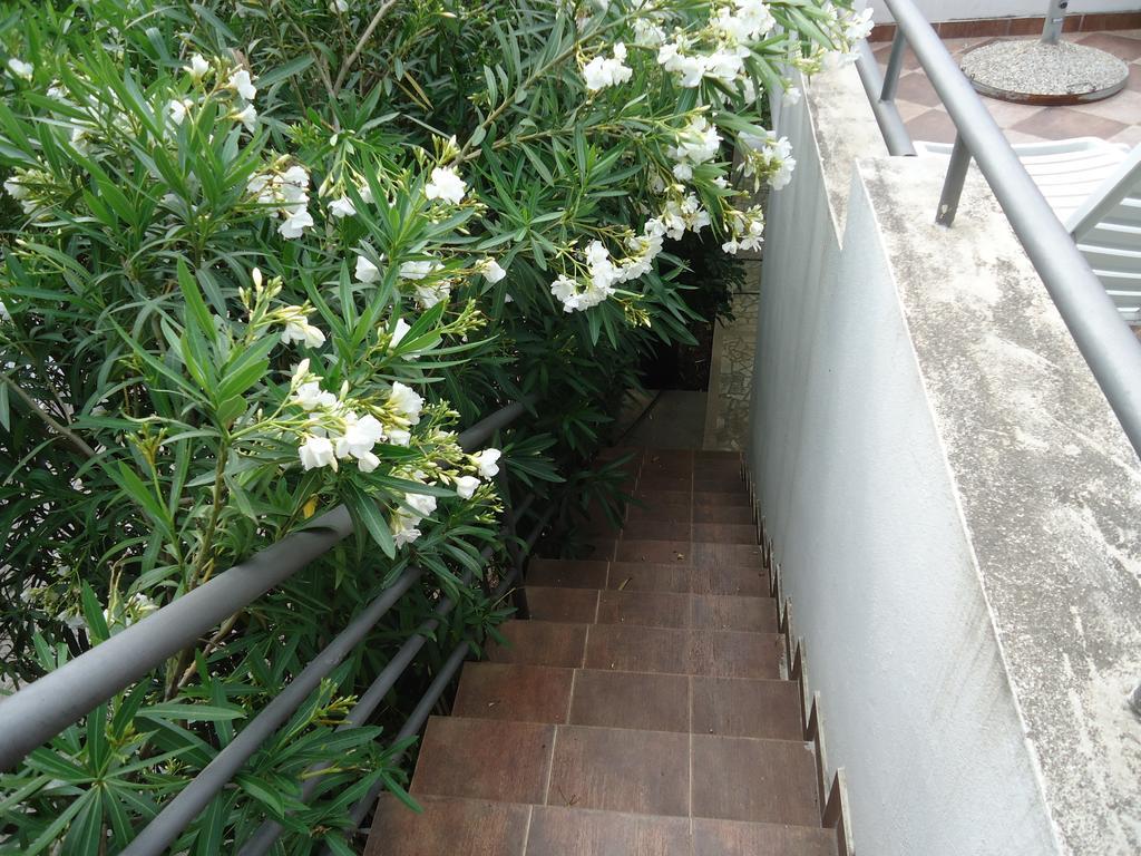 Apartments Ant Budva Pokój zdjęcie