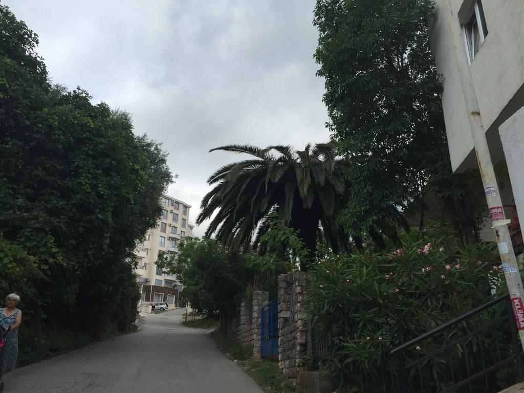 Apartments Ant Budva Zewnętrze zdjęcie