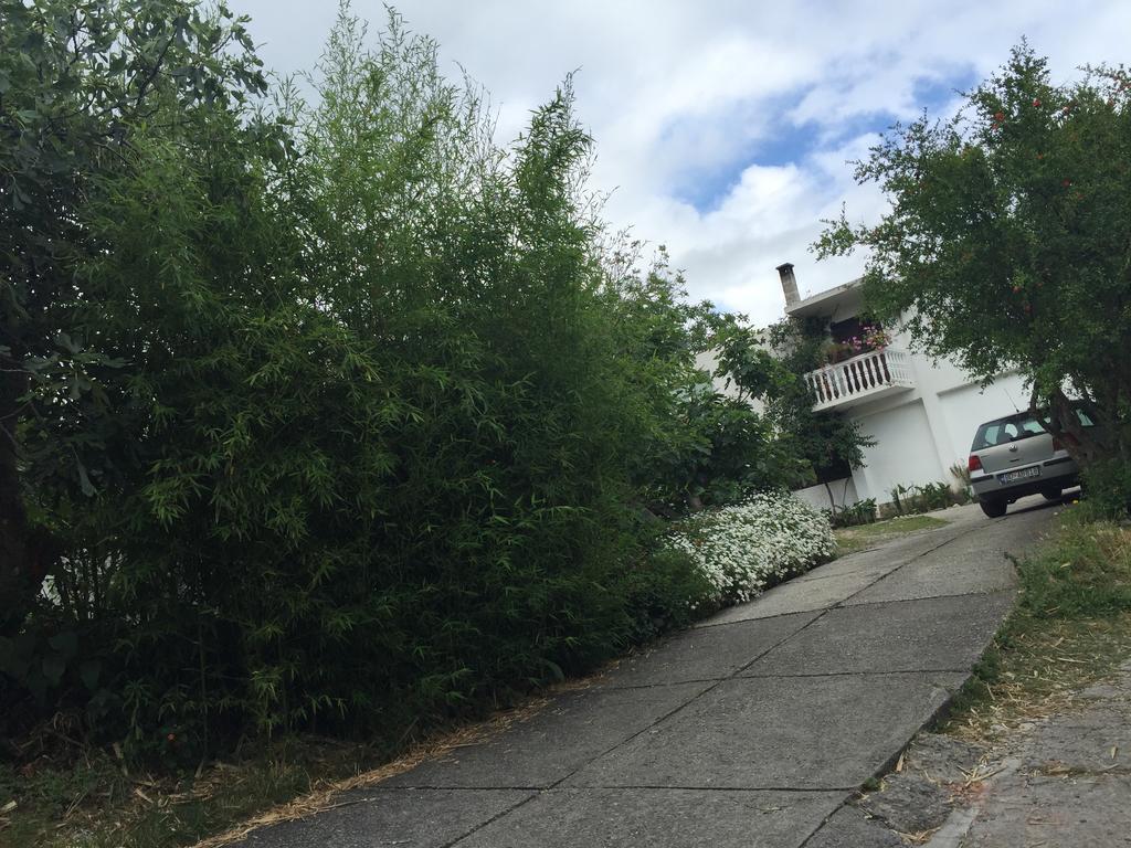 Apartments Ant Budva Zewnętrze zdjęcie